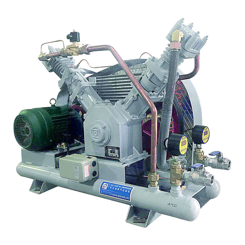 High Pressure Piston Type Gas Booster 100Nm3/h Oil-free Nitrogen and Oxygen Compressor WWN-100-4-25